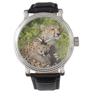 Montre Afrique. Tanzanie. Guépère mère et petits 2