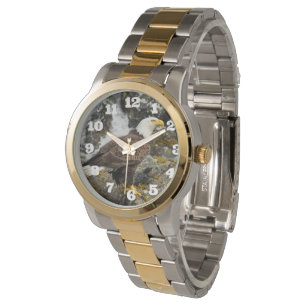 Montre Aigle à tête blanche