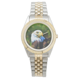 Montre Aigle à tête blanche dans la peinture faunique au 