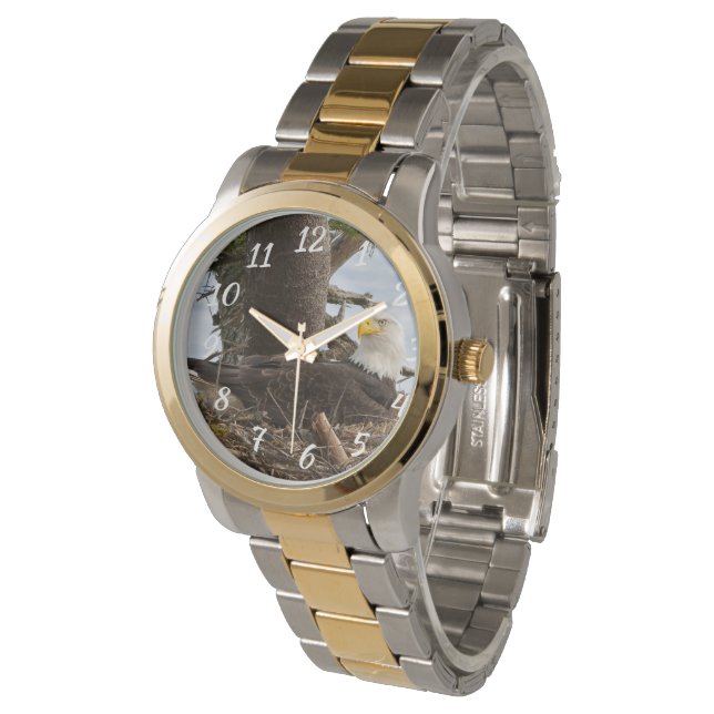 Montre Aigle nicheur (Incliné)