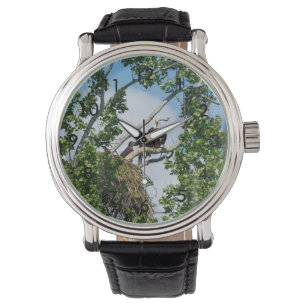 Montre Aigles chauds