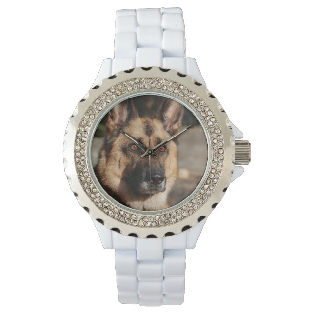 Montre Alert German Shepherd (devant)