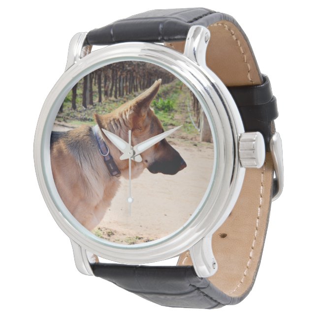 Montre Alerter Le Berger Allemand En Garde, (Incliné)