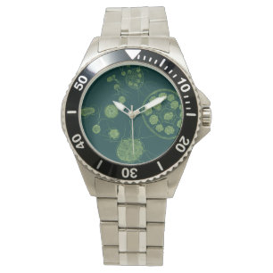 Montre Algues vertes Pandorina morum