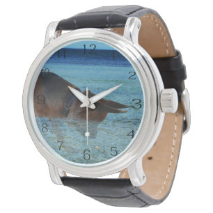 Montre Allemagne berger Crabbing Adventure,