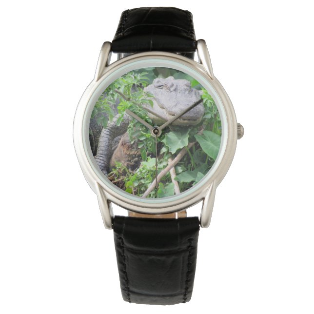 Montre Alligator - Choisissez Votre Style Lors De  (devant)