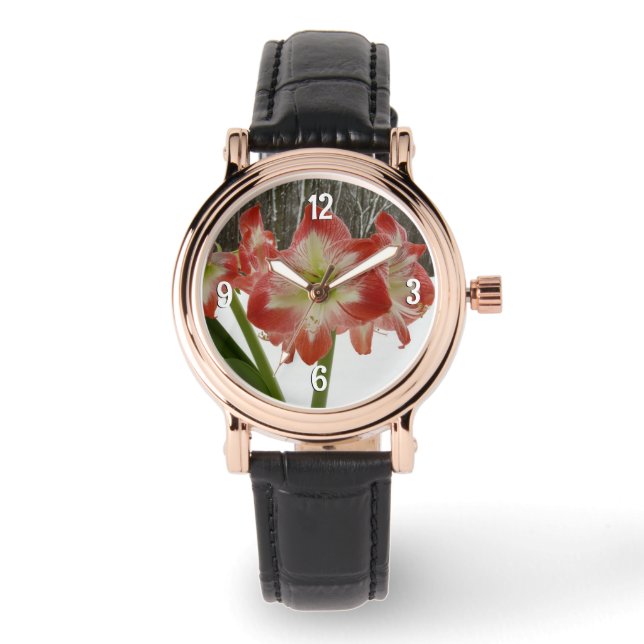 Montre Amaryllis en Fête Rouge Neige Hiver Floral (Recto)