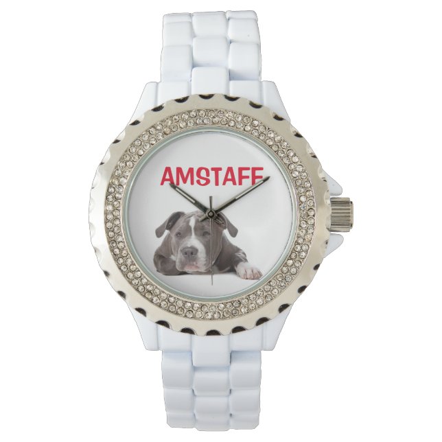 Montre American Staffordshire Terrier Chien chiot - Amsta (devant)
