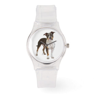 Montre American Staffordshire Terrier Chien chiot - Amsta