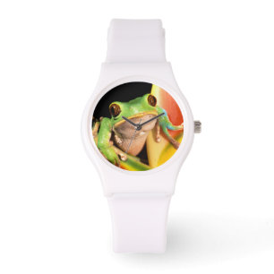 Montre Amérique du Sud, Équateur, Amazonie. Grenouille ar