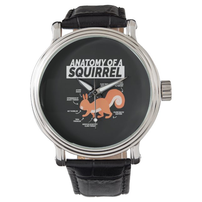 Montre Anatomie D'Un Écureuil (devant)