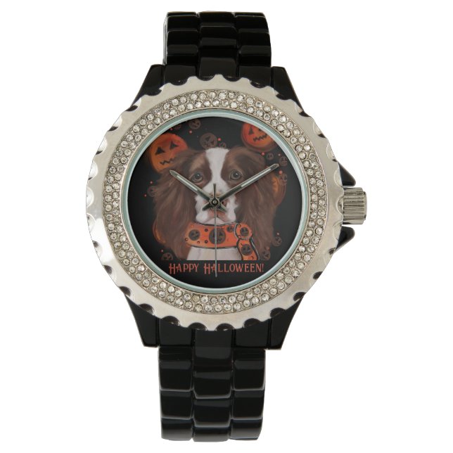 Montre Anglais Springer Spaniel (devant)