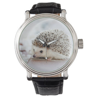 Montre Animal de Cute