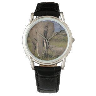 Montre Animaux de bébés cutest Amama Elephant Avec Bébé