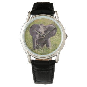 Montre Animaux de bébés cutest   Baby Elephant Kenya Afri