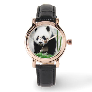 Montre Animaux de bébés cutest   Baby Panda Bear