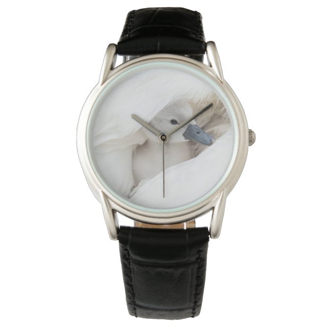 Montre Animaux de bébés cutest | Bébé Mute Swan (devant)