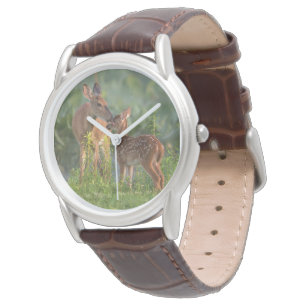 Montre Animaux de bébés cutest   Cerf et bébé