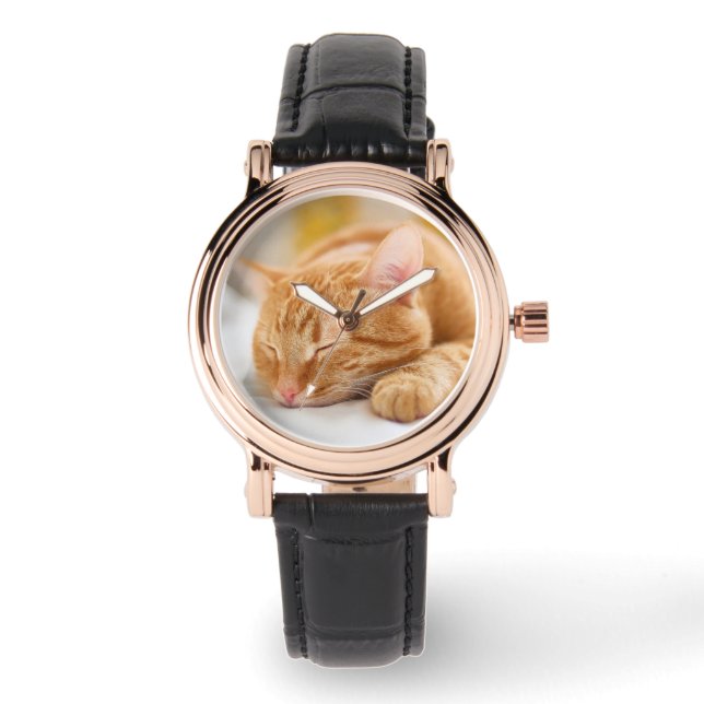 Montre Animaux de bébés cutest | Chat de gingembre dorman (Recto)