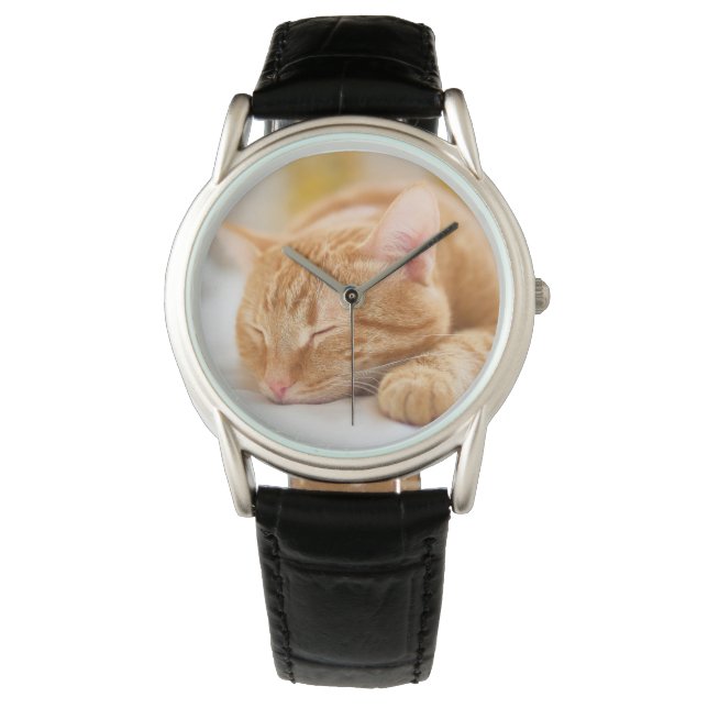 Montre Animaux de bébés cutest | Chat de gingembre dorman (devant)