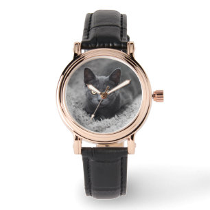 Montre Animaux de bébés cutest   Chat gris