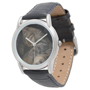 Montre Animaux de bébés cutest   Chat Tabby Dormant