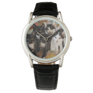 Montre Animaux de bébés cutest   Chatons noirs et blancs