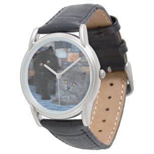 Montre Animaux de bébés cutest   Chatons persans sur couv