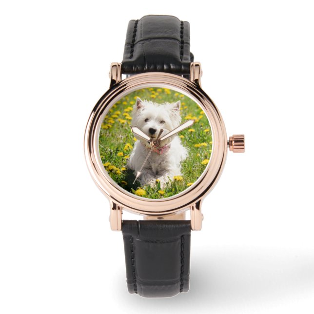 Montre Animaux de bébés cutest | Chien Westin en Dandelio (Recto)