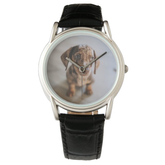 Montre Animaux de bébés cutest | Chiot Brown (devant)