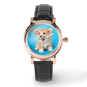 Montre Animaux de bébés cutest   Chiot de Corgi en bleu