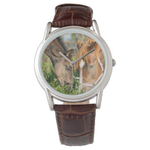 Montre Animaux de bébés cutest   Colt à cheval