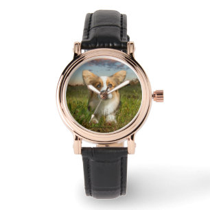 Montre Animaux de bébés cutest Corgi dans le nuage