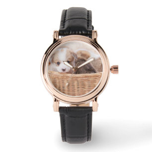 Montre Animaux de bébés cutest   Corgi Miny Puppy