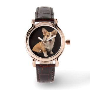 Montre Animaux de bébés cutest   Corgi Portrait sur Noir