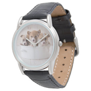Montre Animaux de bébés cutest   Cute Corgi Chipies dans 