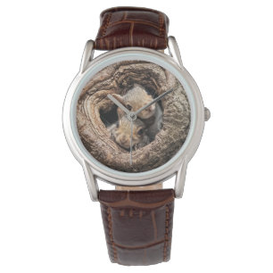 Montre Animaux de bébés cutest   Deux jeunes écureuils