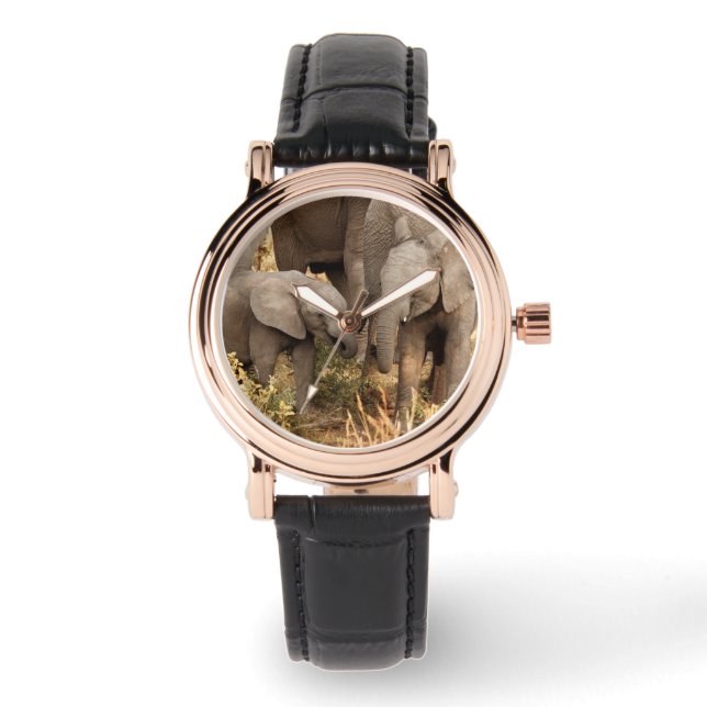 Montre Animaux de bébés cutest | Deux jeunes éléphants (Recto)