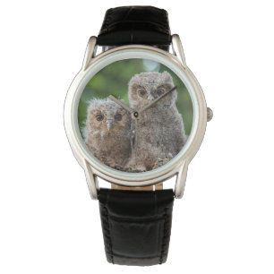 Montre Animaux de bébés cutest   Deux jeunes hiboux