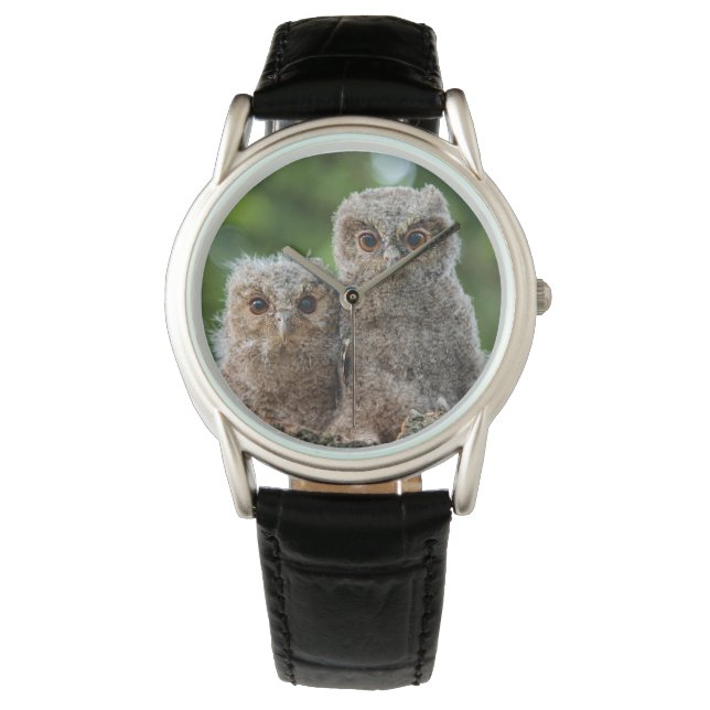 Montre Animaux de bébés cutest | Deux jeunes hiboux (devant)