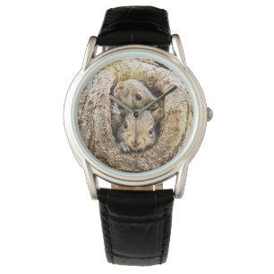 Montre Animaux de bébés cutest   Écureuils curieux
