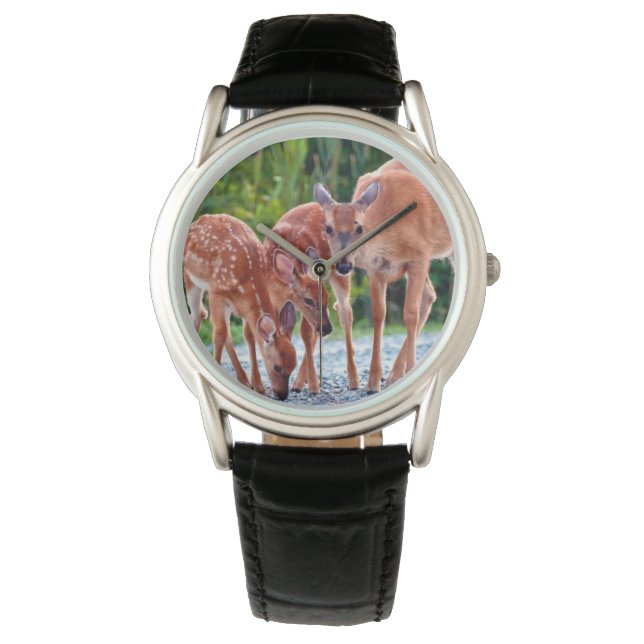 Montre Animaux de bébés cutest | Fawn with Babies (devant)