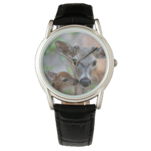 Montre Animaux de bébés cutest   Key Deer Stag & Fawn