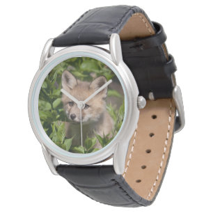 Montre Animaux de bébés cutest Kit Fox