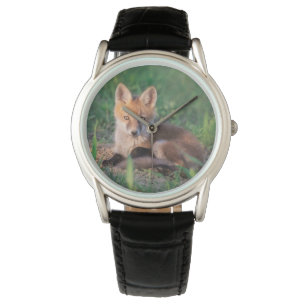 Montre Animaux de bébés cutest   Kit Red Fox Relaxant