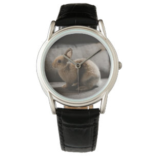 Montre Animaux de bébés cutest Lapin nain de Pays-Bas