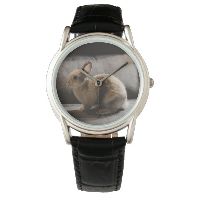 Montre Animaux de bébés cutest | Lapin nain de Pays-Bas (devant)