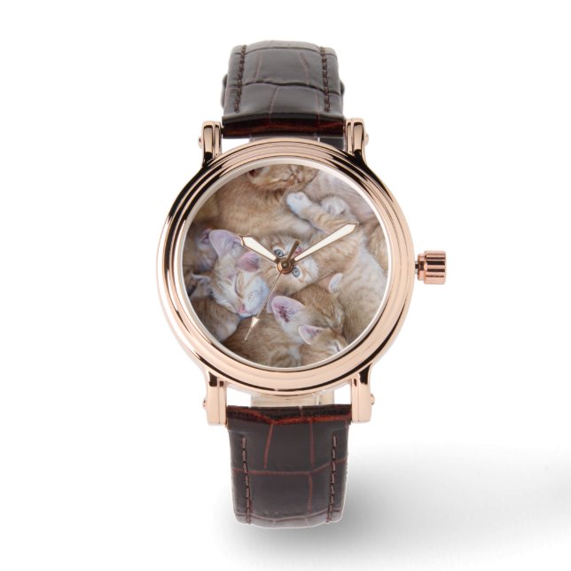 Montre Animaux de bébés cutest | Orange Kitten Pile (Recto)