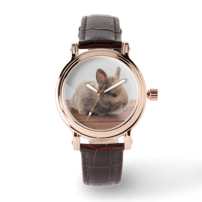 Montre Animaux de bébés cutest | Petit lapin bébé (Recto)