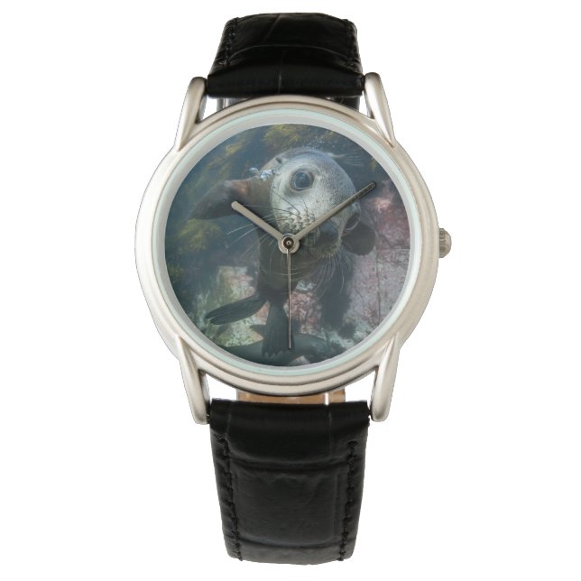 Montre Animaux de bébés cutest | Phoque sous-marin Cape F (devant)